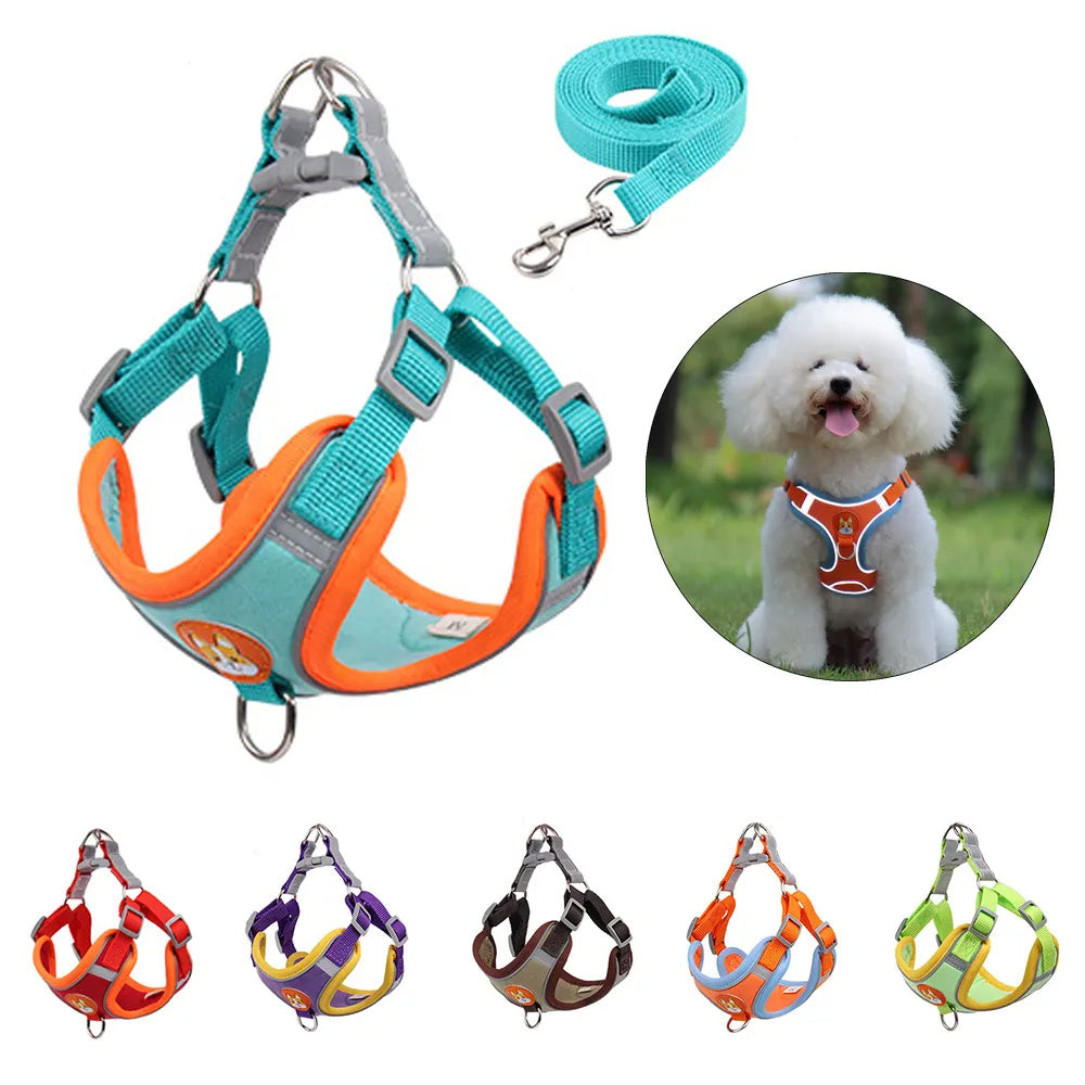 Dog Harness & Leash Set