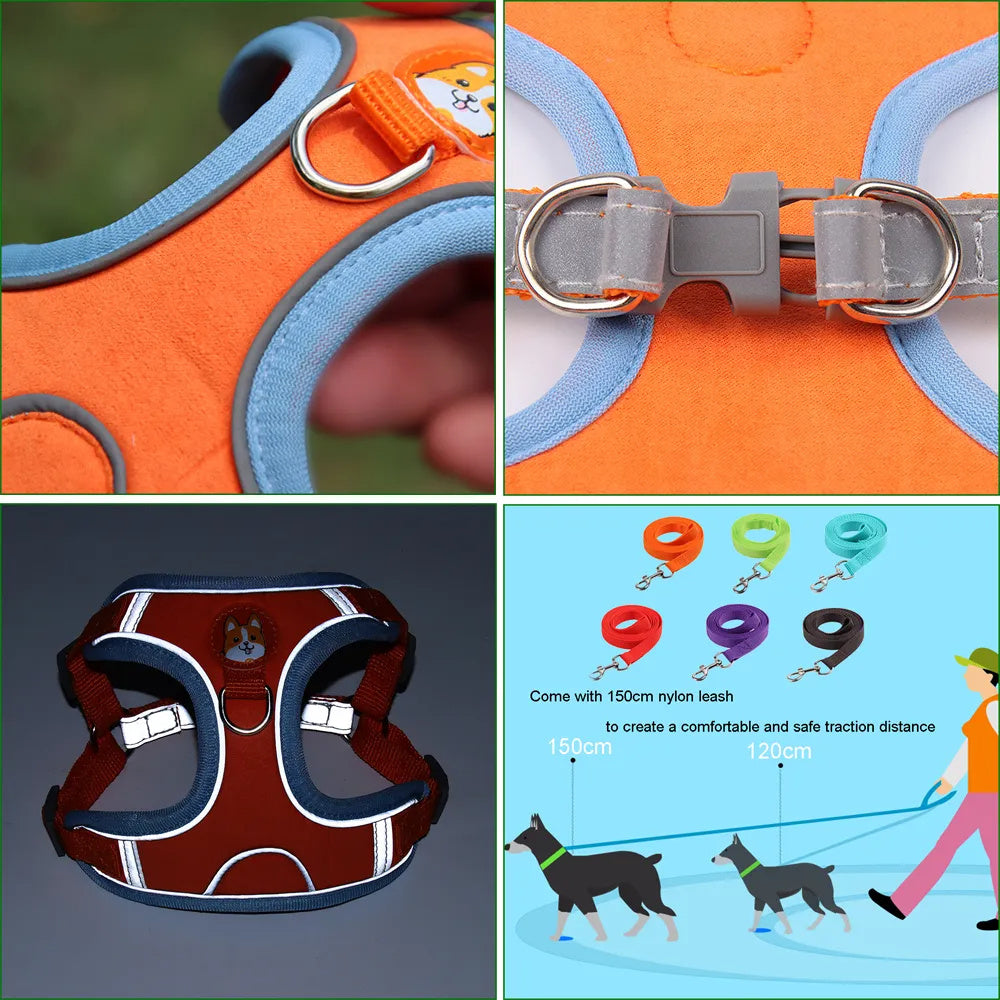 Dog Harness & Leash Set