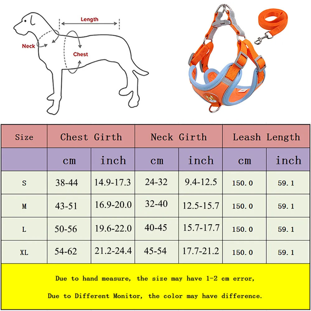 Dog Harness & Leash Set