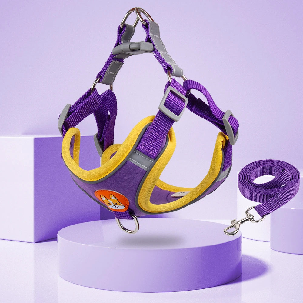 Dog Harness & Leash Set