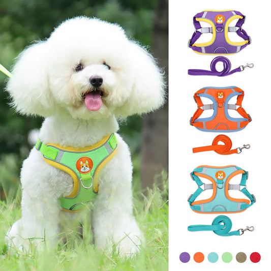 Dog Harness & Leash Set