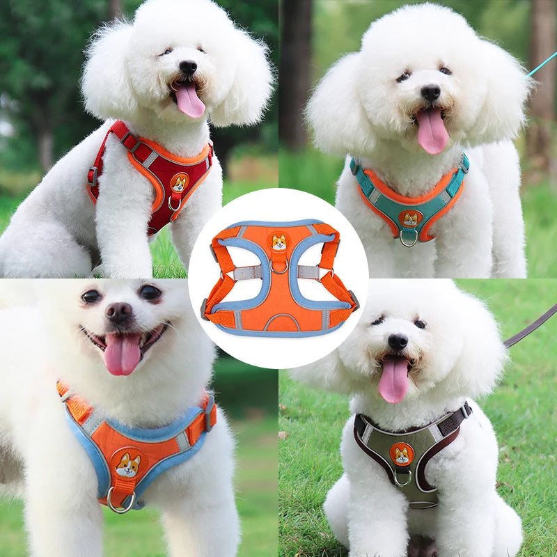 Dog Harness & Leash Set