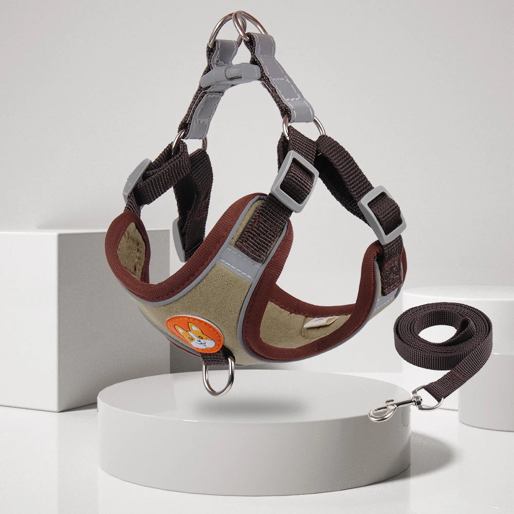 Dog Harness & Leash Set